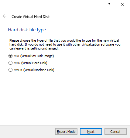 Specifying the file type for the Virtual Drive.