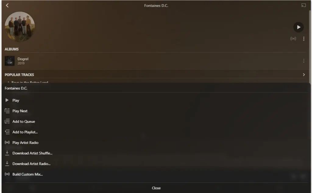 Selecting the artist radio station in Plexamp.