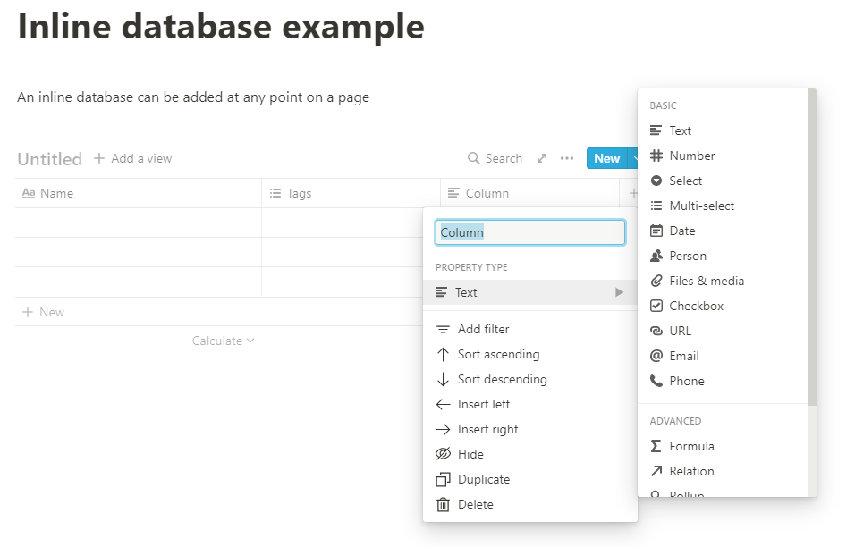 Selecting a data type for a field in Notion.