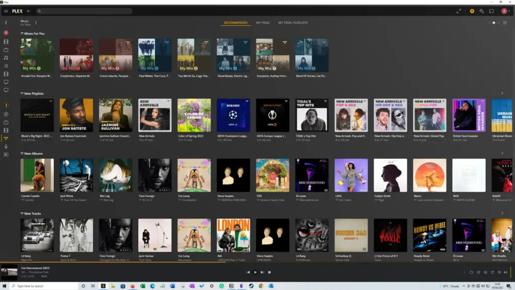 Tidal music on the Plex Windows application